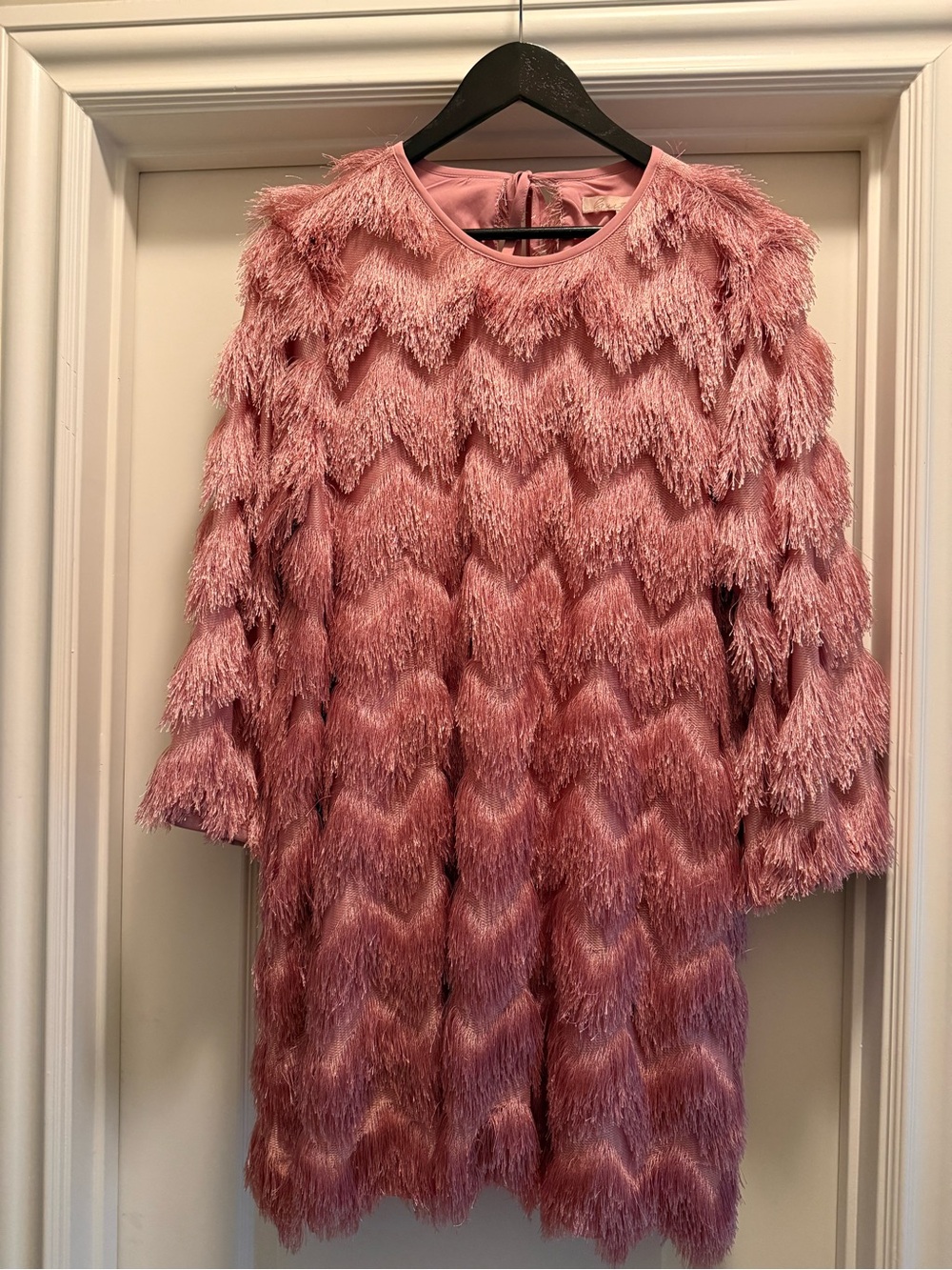 Anthropologie (Hutch) Pink Fringe Shift Dress / Party Statement Dress